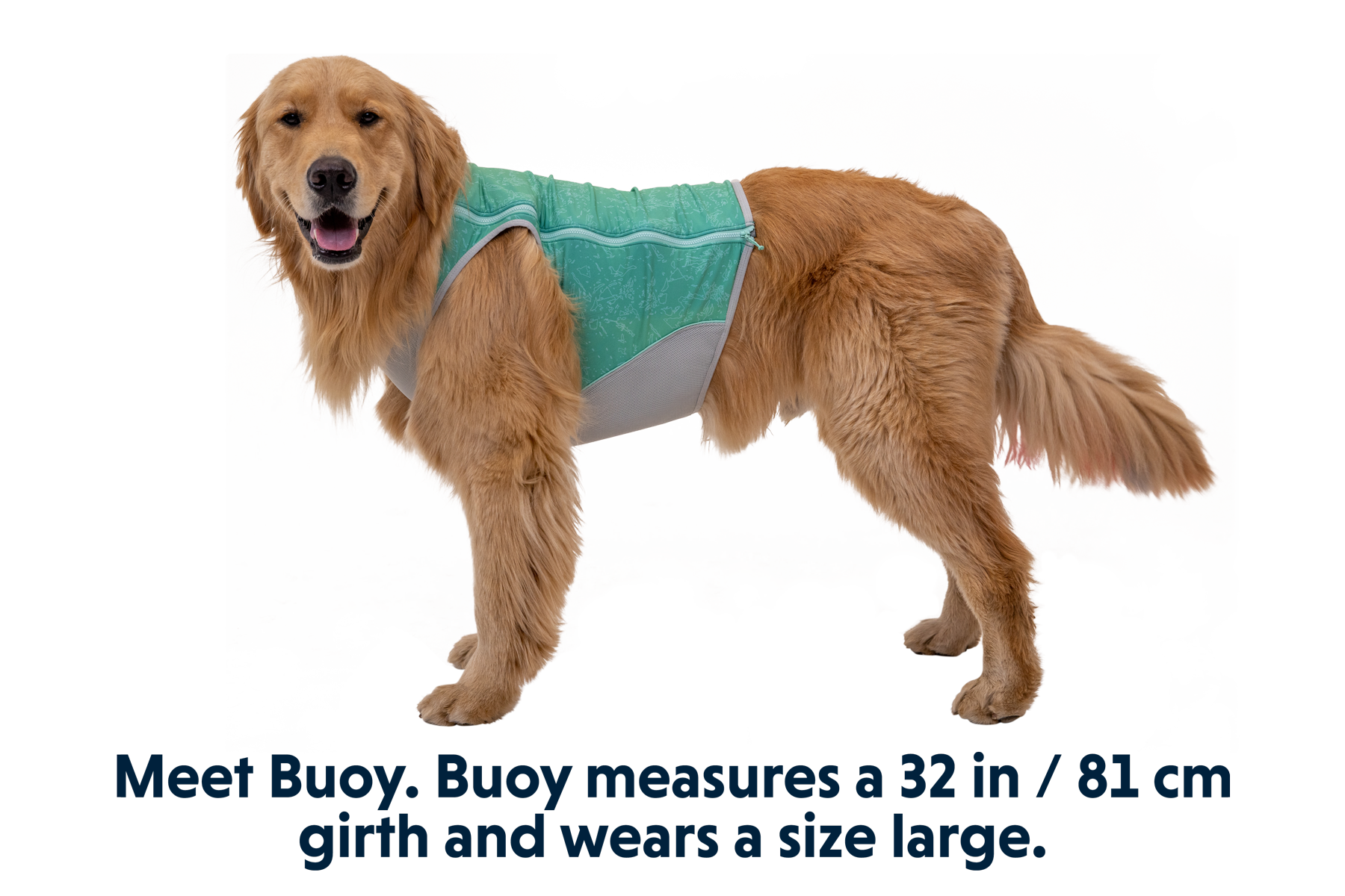 Aurora Teal (421)