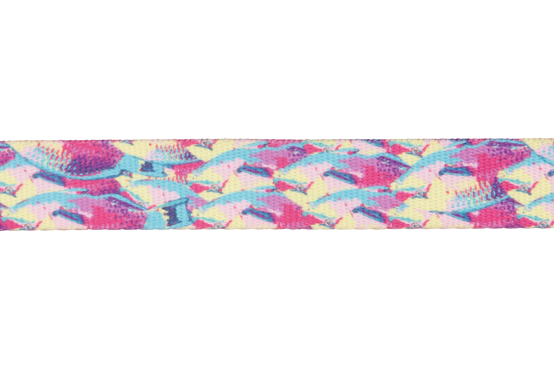 Reef Fish (989)