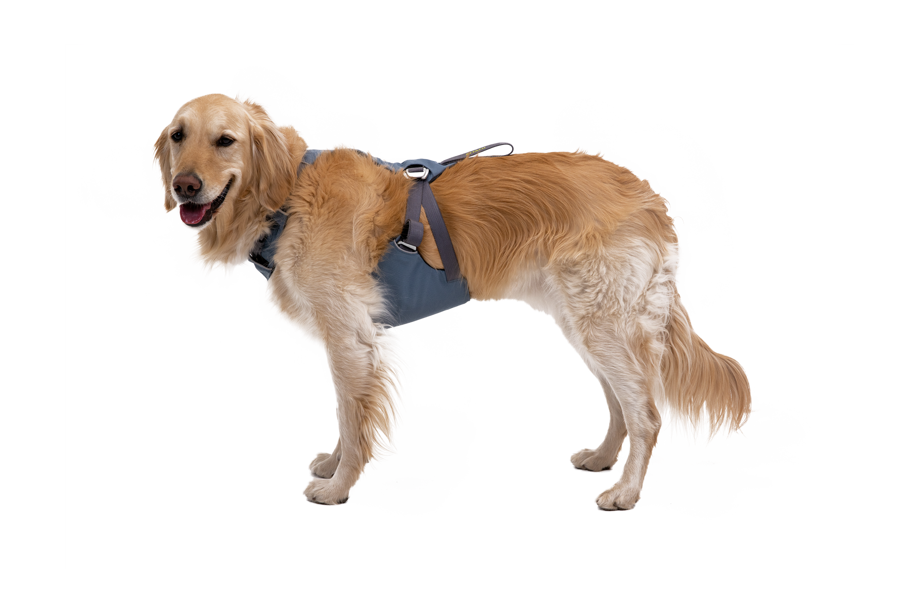 Load Up dog car harness Slate Blue (413)